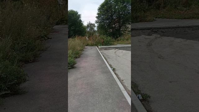 Прогулка