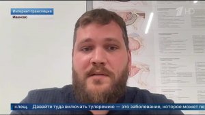 Врач объяснил, почему кротов нельзя ловить руками.