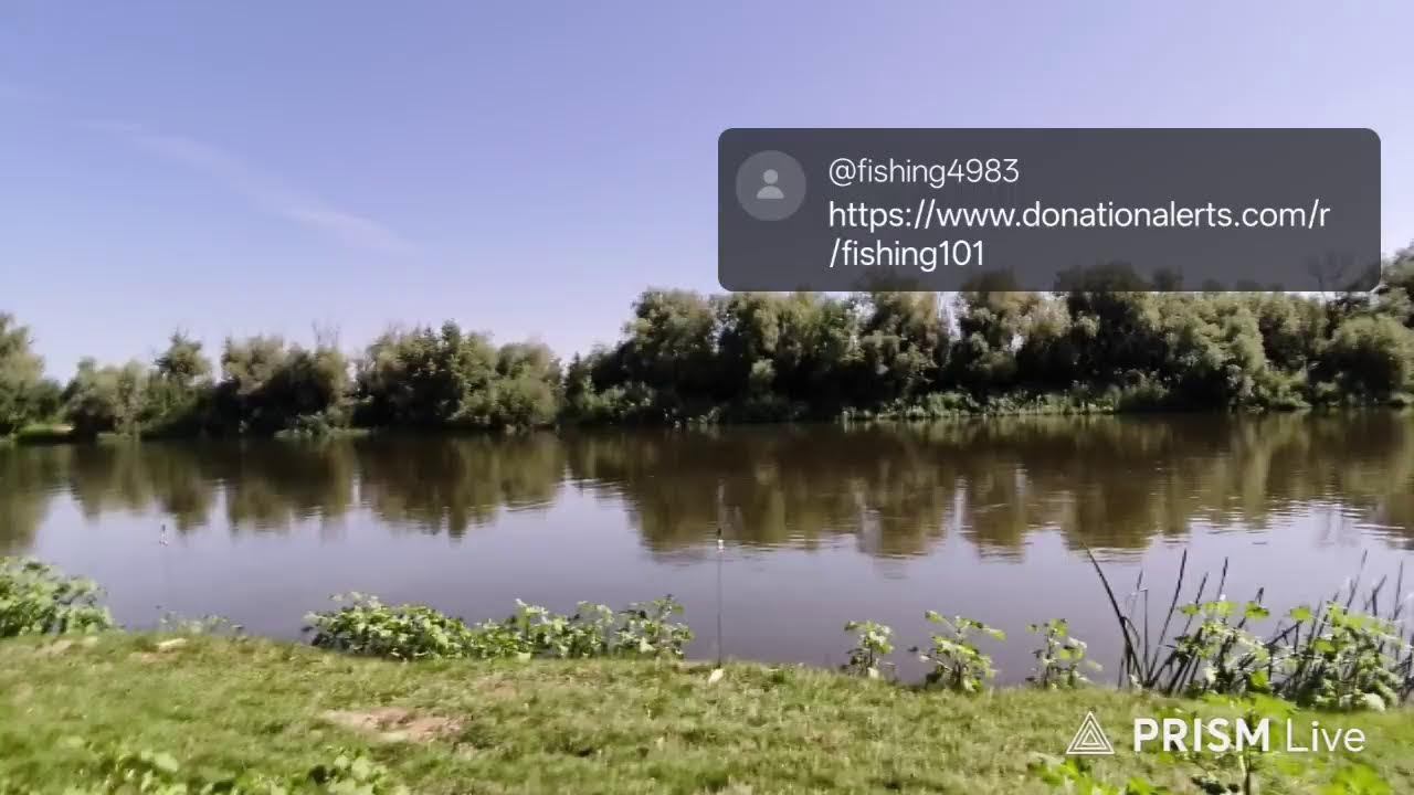 Прямая трансляция От крючка до прилавка