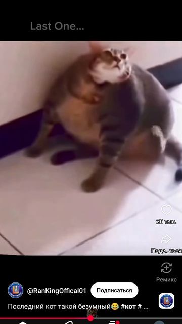 Перезолив с Ютуба