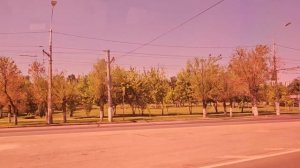 Где же мы были? отдыхали или по делам?