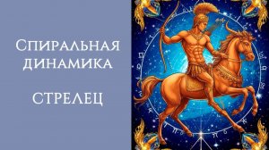 СПИРАЛЬНАЯ ДИНАМИКА: СТРЕЛЕЦ