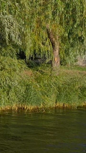 Красота красивая