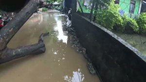 ИСХОД РУССКИХ МУЖИКОВ В ДЖУНГЛИ. А что на Филиппинах Они утонули......