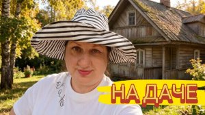 ДАЧНЫЙ ВЛОГ //КОШКА ОТБЛАГОДАРИЛА/ СОБРАЛИ УРОЖАЙ/ ГОТОВЛЮ УЖИН ВКУСНЫЙ