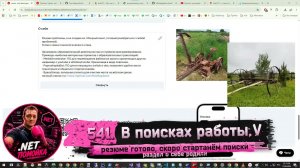 .net помойка / 541. В поисках работы 5