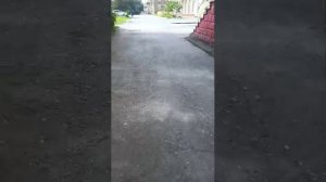 стрим в городе всем привет