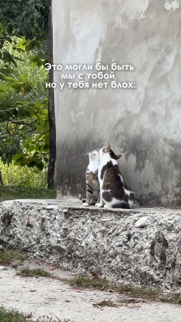 Это могли быть мы с тобой