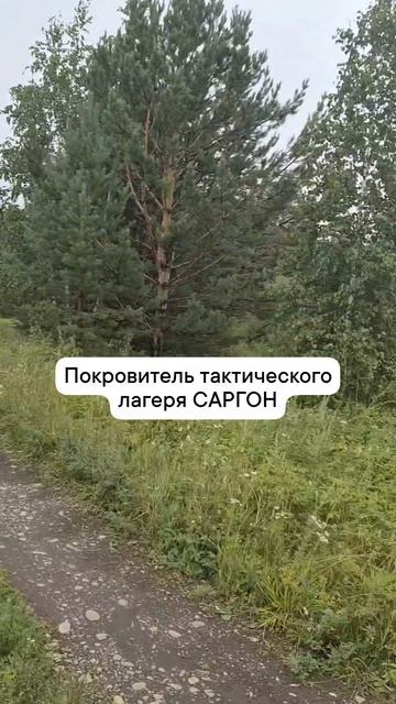 покровитель тактического лагеря САРГОН