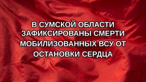 В Сумской области зафиксированы смерти мобилизованных ВСУ от остановки сердца