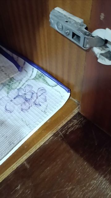 дача и размышления