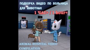 Подборка видео по Больница для Животных/ Animal hospital 🧪 1 ЧАС+ 1 HOUR+