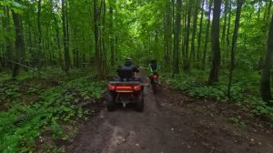 квадрик крупным планом в лесу