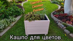 Кашпо для цветов своими руками