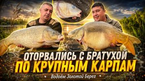 Оторвались по КРУПНЫМ КАРПАМ! Ловля на бойлы 24 мм | Золотой Берег