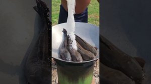 Рецепт жареной рыбы с чили