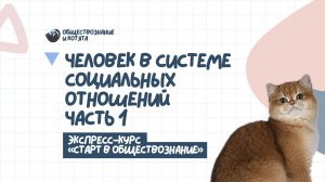 1.1 Экспресс. Социология (часть 1)