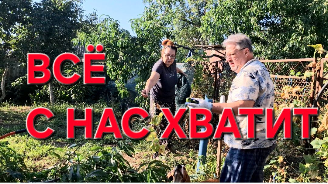 1423 Всё.С нас хватит. Всё выбрасываем. Деревья Рубим. Городские Станичники.