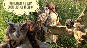 Сова Ёль повела всех на фотосессию в болото и заставила Артёма стоять на коленях. Пёс Кубик смущён