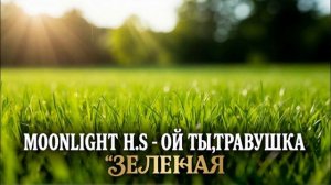 Moonlight H.S - Ой ты,травушка зеленая (Ai_Клинских_Cover)
