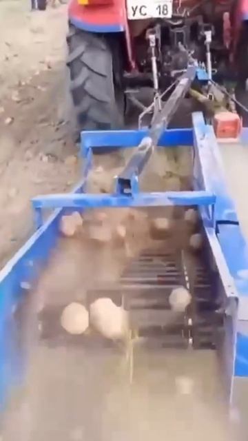 Как копает копалка КК-540