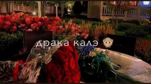 прикольно муз Шу лайку и налэ без разрешения❤