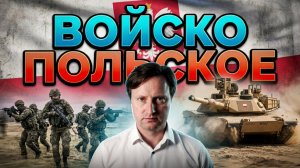 Армия Польши! Обзор с экспертом по армиям мира Игорем ХарДастером!