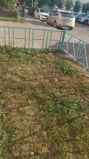 Следим за бешеной беловолосой