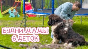 ЛЕТНИЕ БУДНИ МНОГОДЕТНОЙ МАМЫ 🐝☀️Поездка к бабушке, ремонт участка, готовка на всю семью