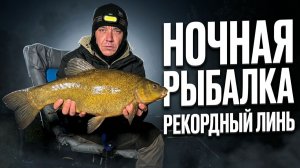 НОЧНАЯ РЫБАЛКА! Крупный КАРАСЬ ЛИНЬ один за другим!