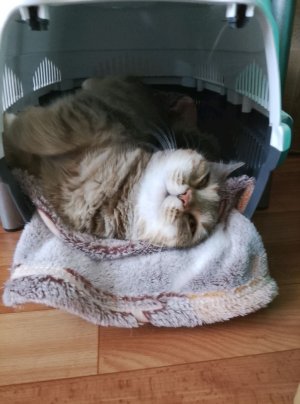 наша игра