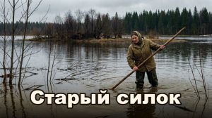 Старый силок | РАССКАЗ ИСТОРИЯ ИЗ ЖИЗНИ АУДИОКНИГА