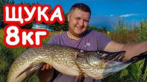 Ловля щуки 8 кг Ловля трофейной щуки