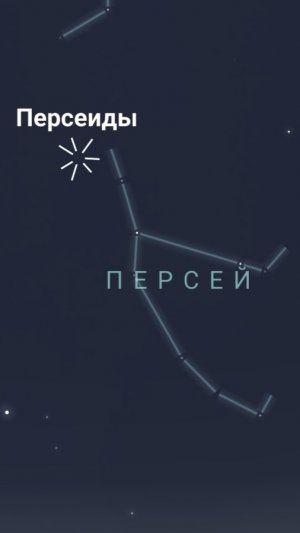 Песреиды 2026-все что удалось заснять
