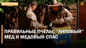 ПЧЕЛИНОЕ ЦАРСТВО. Единственная угроза – медведь. Как проходит рабочий день пчеловода/ МЕДОВЫЙ СПАС