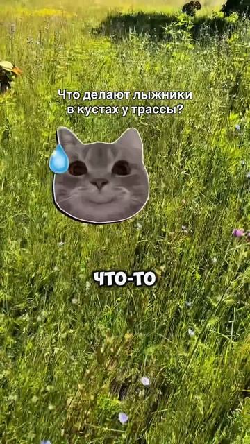 Что делают лыжники в кустах?