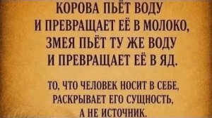 Любаша Губарева. АЛКО СТРИМ 😜