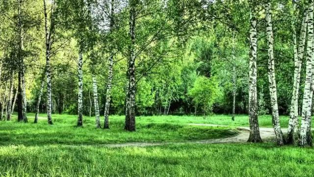 Эдуард Асадов о весне.