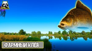 ТАКОГО ФАРМНОГО КЛЁВА УЖЕ ДАВНО НЕ БЫЛО #рр4