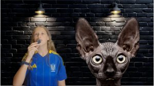Незамутнённый разум, или кукушка разбилась о черепушку / Кот Костян