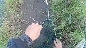 Рыбалка на кану