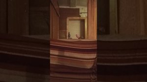 Заяц покупает вещи к 1 сентябрю