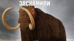 POV реклама мобильных игр