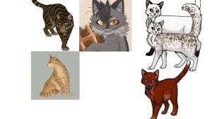Мои ЛЮБИМЫЕ коты воители|Шизик