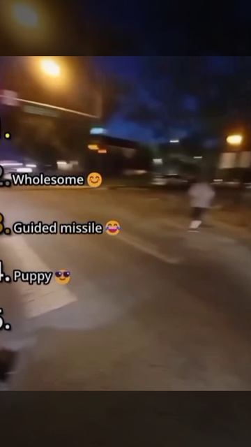 Хе Хе 😎🤣🐢