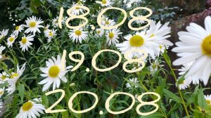 Лунный Календарь Комнатного Цветовода с 17.08-23.08.26г.