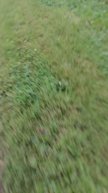 VID_20260816_130434.mp4
