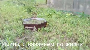 Недельный влог с 10 по 16 августа 2026г