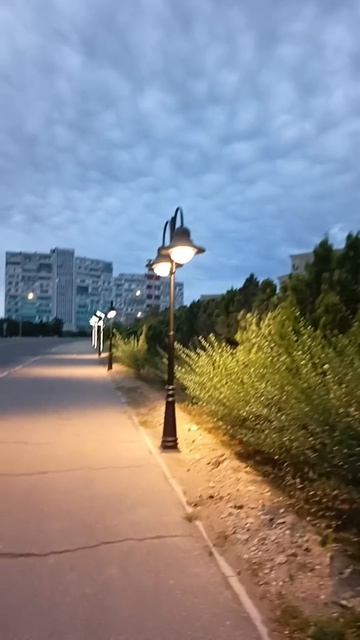 Моё утро. 16 августа 2026