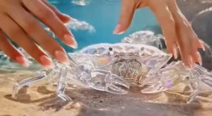 #ASMR 🦀🦀МОРЕКИ🦀🦀💎ХРУСТАЛЬНАЯ СКАЗКА 💎💎